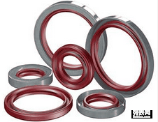 進口tb外骨架鐵殼油封