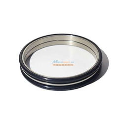 進口浮動油封公司 錫林郭勒盟價格合理的進口浮動油封批售