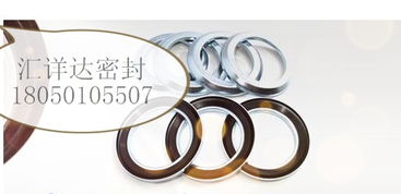 【德國進(jìn)口cfw/babsl油封型號(hào)表,42423價(jià)格,圖片,配件廠家】