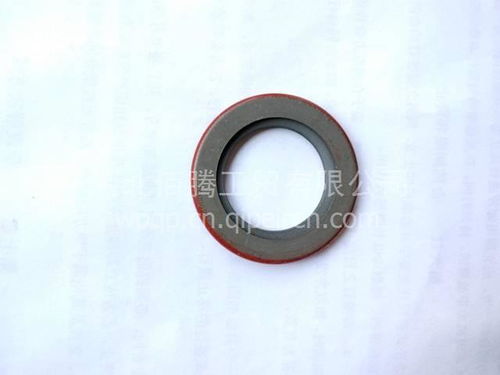 進口油封水泵油封3003353 價格、圖片與配件廠家全解析